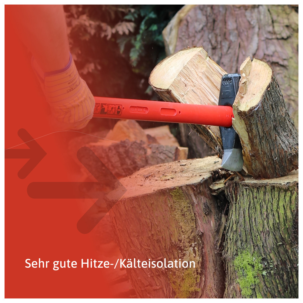 Pflanze, Baum